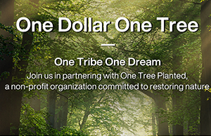 补登：关注情形；；；；；，，，，，，，，践行低碳理念